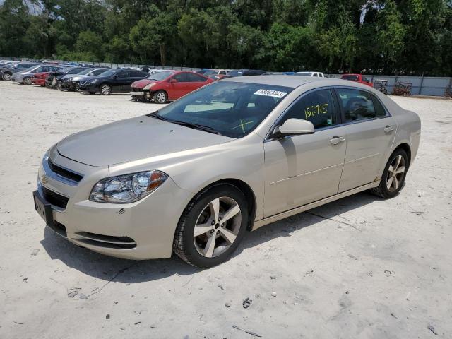 CHEVROLET MALIBU 1LT 2011 with VIN 1G1ZC5E13BF112930 - Photo from auction