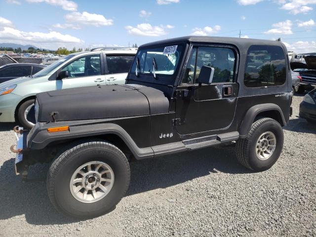 Photo 1 from auction – 1995 JEEP WRANGLER / with VIN 1J4FY29S7SP293905