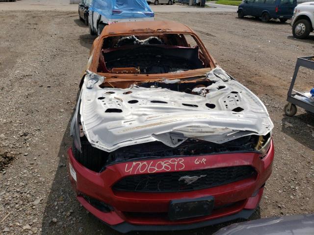 Photo 5 from auction – 2017 FORD MUSTANG with VIN 1FA6P8TH5H5205663