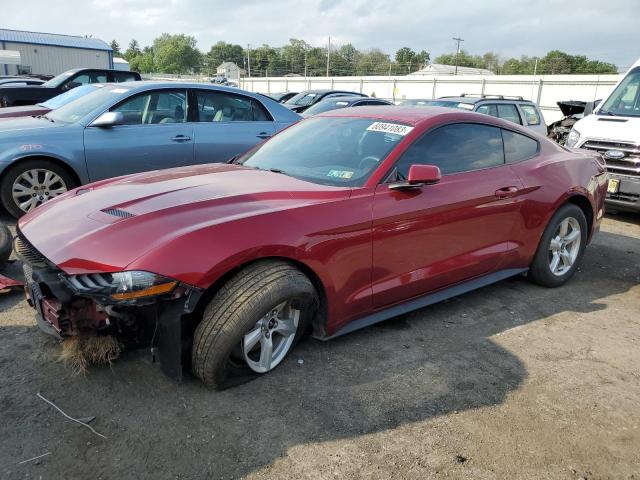 FORD MUSTANG 2019 with VIN 1FA6P8THXK5166589 - Photo from auction