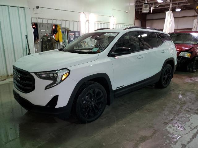 GMC TERRAIN SL 2020 with VIN 3GKALTEV7LL149647 - Photo from auction