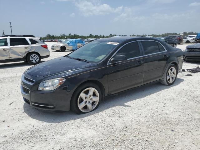 CHEVROLET MALIBU LS 2012 with VIN 1G1ZB5E03CF372840 - Photo from auction
