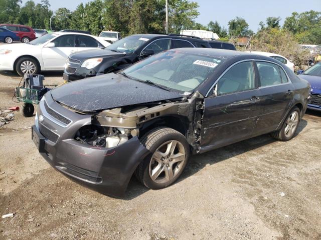 CHEVROLET MALIBU LS 2011 with VIN 1G1ZB5E19BF245789 - Photo from auction