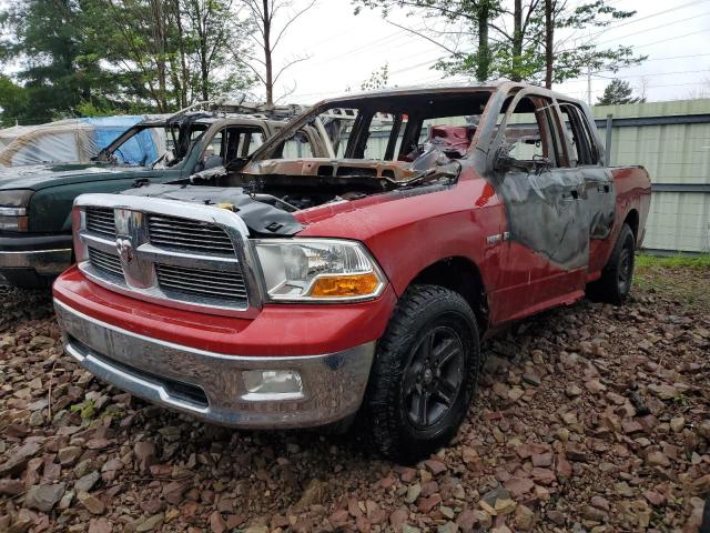 DODGE RAM 1500 2009 with VIN 1D3HV18T39S799077 - Photo from auction