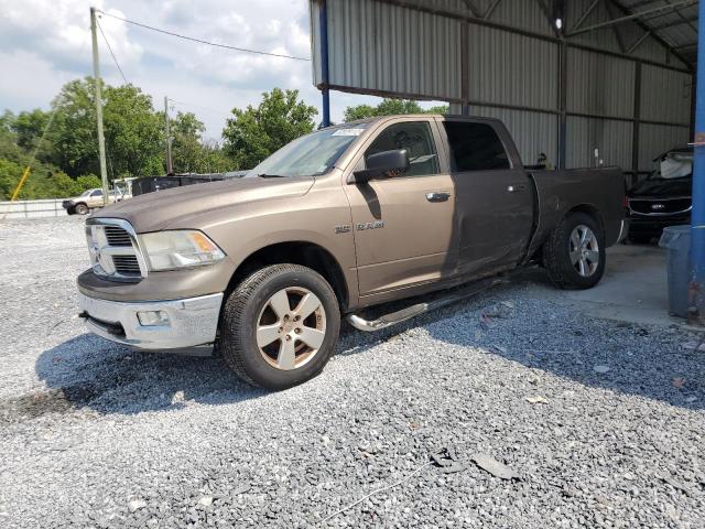 DODGE RAM 1500 2009 with VIN 1D3HV13TX9S742091 - Photo from auction