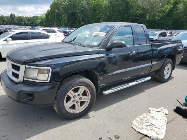 DODGE DAKOTA SLT 2011 with VIN 1D7RW3BK5BS646556 - Photo from auction