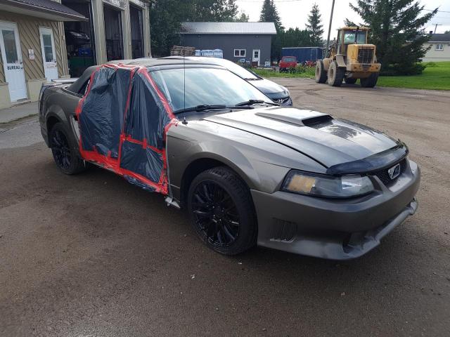 Photo 4 from auction – 2002 FORD MUSTANG GT with VIN 1FAFP45X82F163097