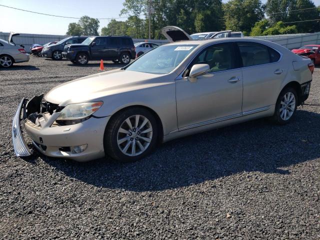 LEXUS LS 460 2010 with VIN JTHBL5EF5A5100804 - Photo from auction