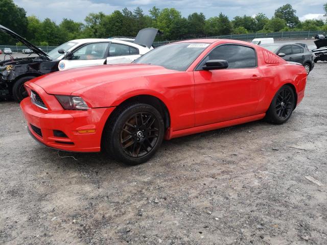 Photo 1 from auction – 2014 FORD MUSTANG with VIN 1ZVBP8AM8E5239159