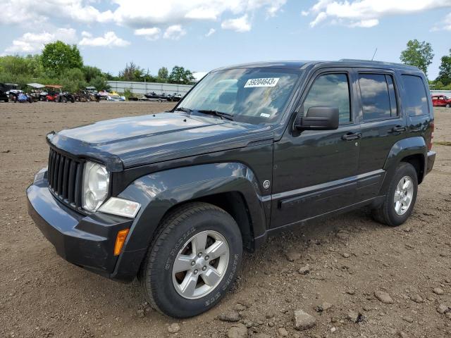 JEEP LIBERTY SP 2011 with VIN 1J4PN2GK4BW523129 - Photo from auction