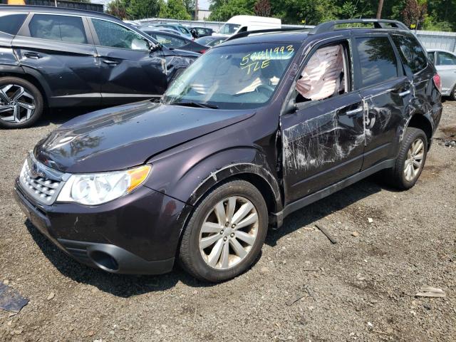 SUBARU FORESTER 2 2013 with VIN JF2SHACC4DH403839 - Photo from auction