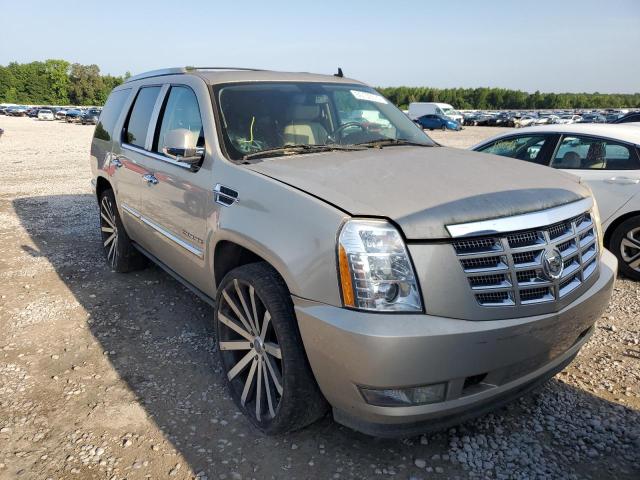 Photo 4 from auction – 2010 CADILLAC ESCALADE P with VIN 1GYUCCEF0AR239594