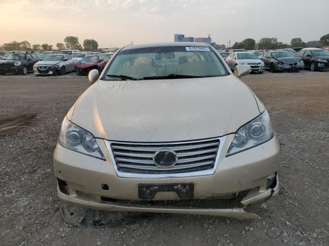 Photo 5 from auction – 2010 LEXUS ES 350 with VIN JTHBK1EG3A2350189