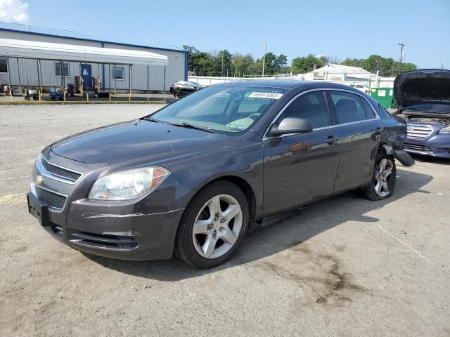 CHEVROLET MALIBU LS 2010 with VIN 1G1ZB5EB3AF229806 - Photo from auction