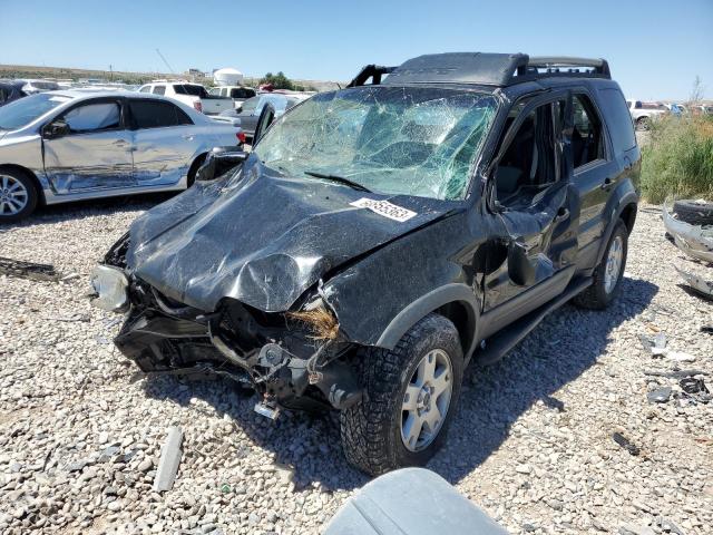 FORD ESCAPE XLT 2005 with VIN 1FMYU93195KA06743 - Photo from auction