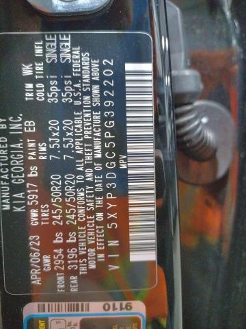 Photo 14 from auction – 2023 KIA TELLURIDE with VIN 5XYP3DGC5PG392202