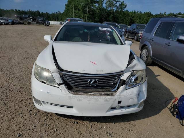 Photo 5 from auction – 2009 LEXUS LS 460 with VIN JTHBL46F795090717