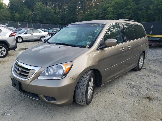 HONDA ODYSSEY EX 2008 with VIN 5FNRL38488B051346 - Photo from auction
