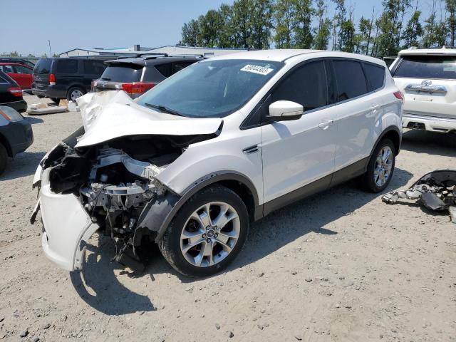 FORD ESCAPE SEL 2013 with VIN 1FMCU9H99DUA35767 - Photo from auction