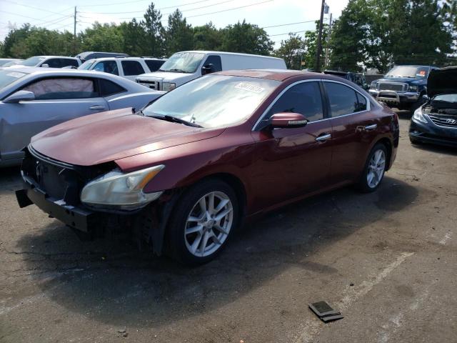 Photo 1 from auction – 2009 NISSAN MAXIMA S with VIN 1N4AA51E59C829737