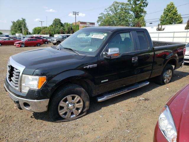 FORD F150 SUPER 2011 with VIN 1FTFX1ETXBFD18660 - Photo from auction