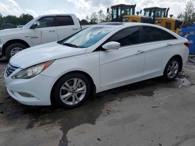 HYUNDAI SONATA SE 2013 with VIN 5NPEC4AC0DH631563 - Photo from auction
