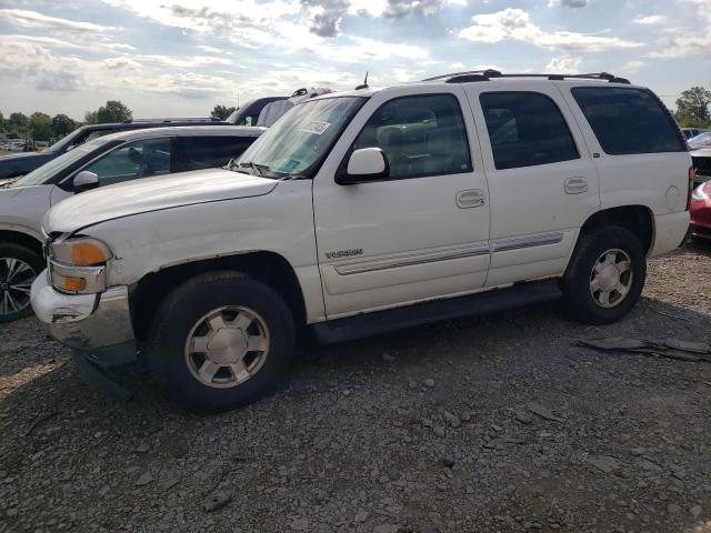 GMC YUKON 2005 with VIN 1GKEK13T65R187683 - Photo from auction