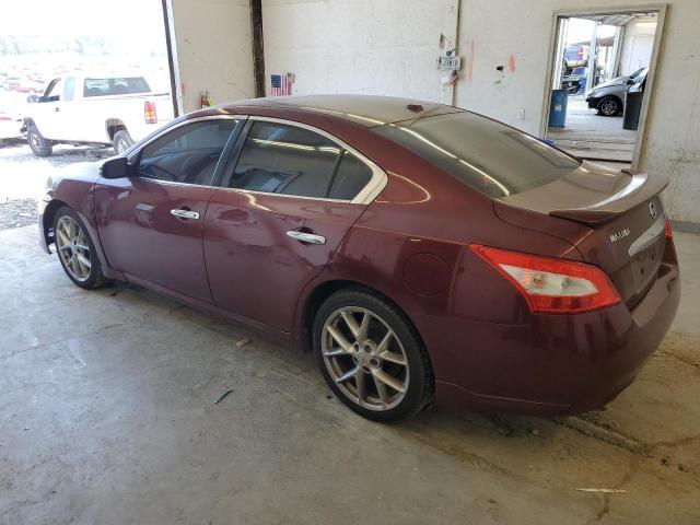 Photo 2 from auction – 2010 NISSAN MAXIMA S with VIN 1N4AA5AP1AC816361