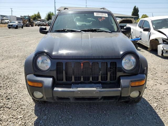 Photo 5 from auction – 2003 JEEP LIBERTY LI with VIN 1J4GL58K63W615494