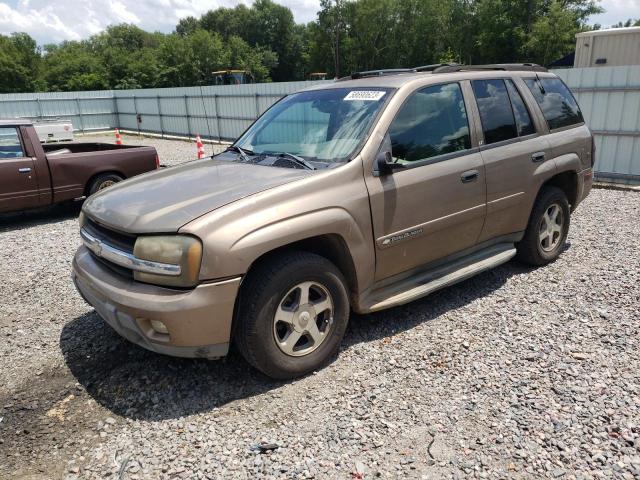 CHEVROLET TRAILBLAZE 2003 with VIN 1GNDS13S732222534 - Photo from auction