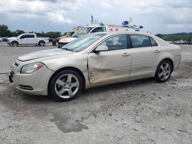 CHEVROLET MALIBU 1LT 2009 with VIN 1G1ZH57B79F249130 - Photo from auction