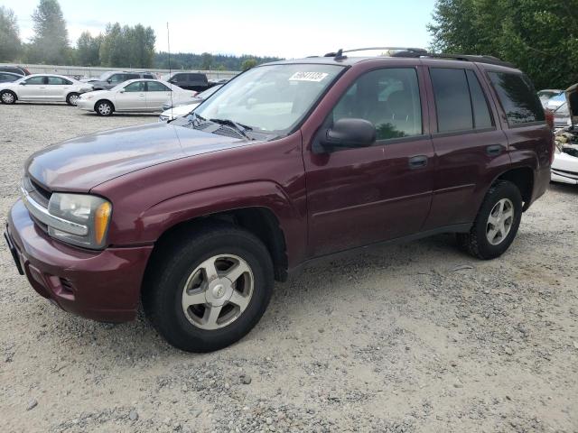 CHEVROLET TRAILBLAZE 2006 with VIN 1GNDT13S162311792 - Photo from auction