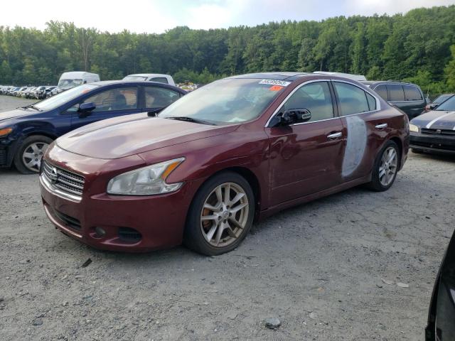 NISSAN MAXIMA S 2011 with VIN 1N4AA5AP0BC825067 - Photo from auction