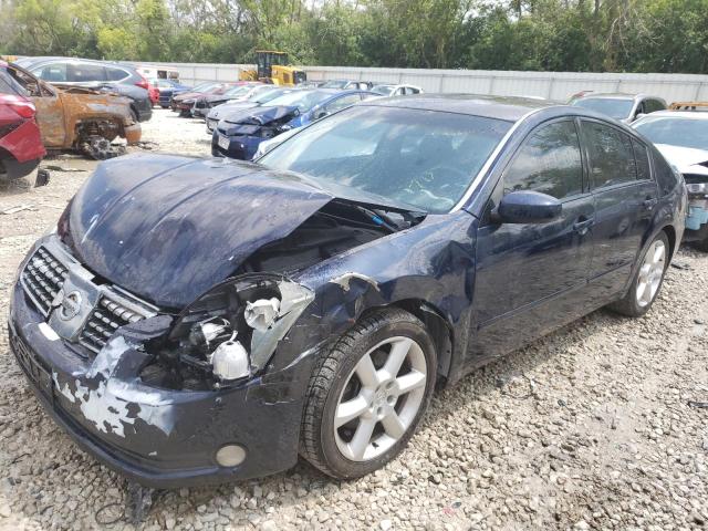 NISSAN MAXIMA SE 2006 with VIN 1N4BA41E56C802693 - Photo from auction