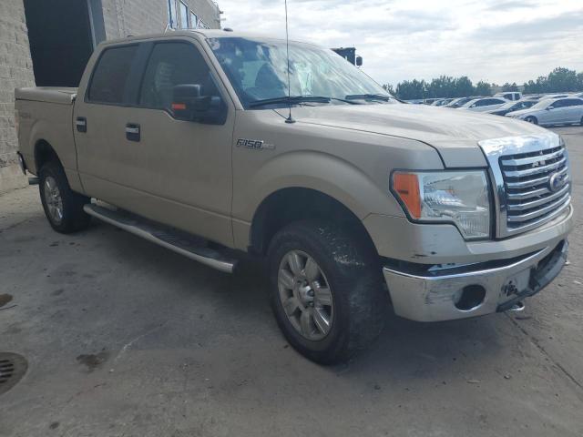 Photo 4 from auction – 2010 FORD F150 SUPER with VIN 1FTFW1EV9AFC30296