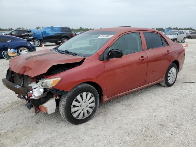 TOYOTA COROLLA BA 2009 with VIN JTDBL40E499079491 - Photo from auction