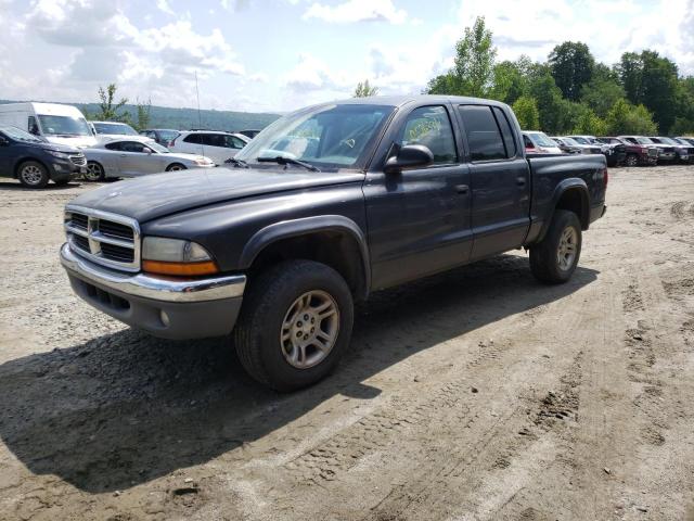 Photo 1 from auction – 2003 DODGE DAKOTA QUA with VIN 1D7HG48N23S193739