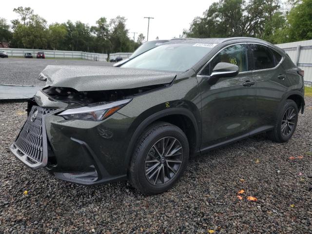 LEXUS NX 250 BAS 2024 с VIN 2T2ADCAZ9RC008992 - Снимка от търг