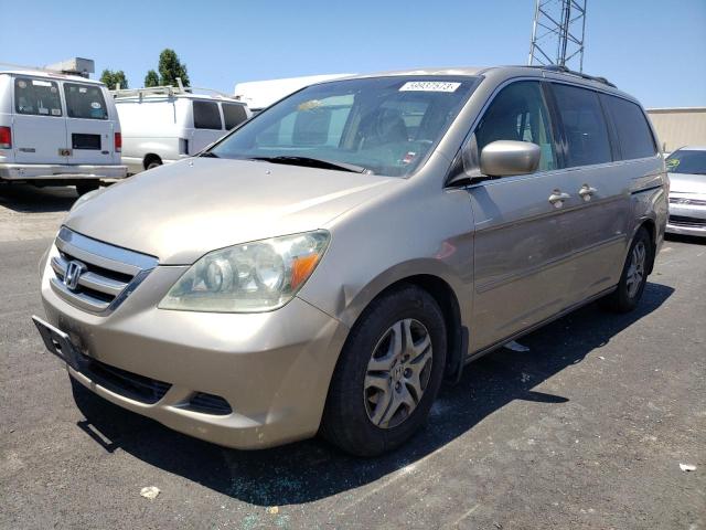 HONDA ODYSSEY EX 2005 with VIN 5FNRL38465B403481 - Photo from auction