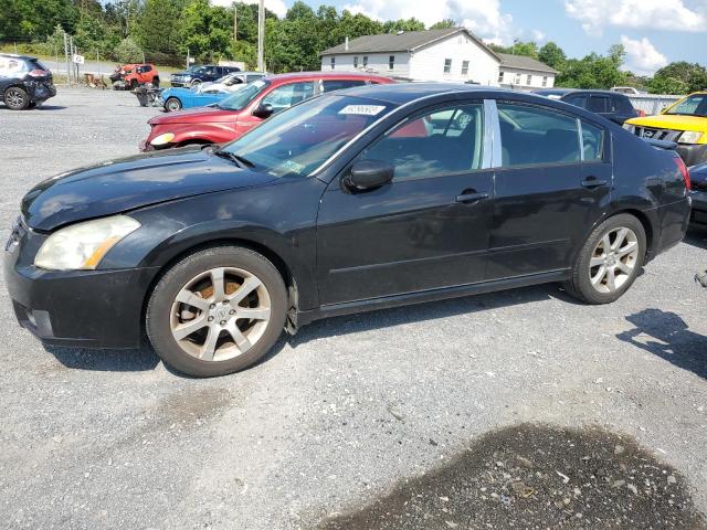NISSAN MAXIMA SE 2008 with VIN 1N4BA41E98C808936 - Photo from auction