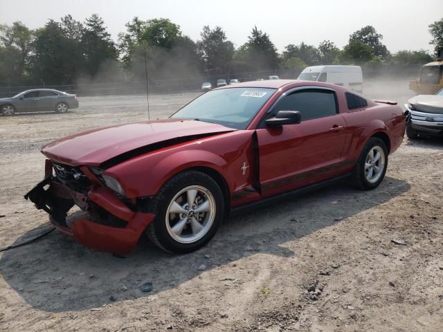 FORD MUSTANG 2008 with VIN 1ZVHT80N185167998 - Photo from auction