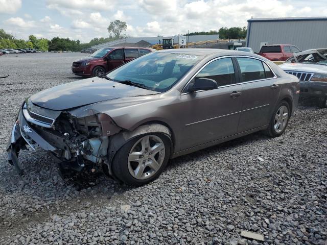 CHEVROLET MALIBU LS 2011 with VIN 1G1ZB5E19BF375281 - Photo from auction
