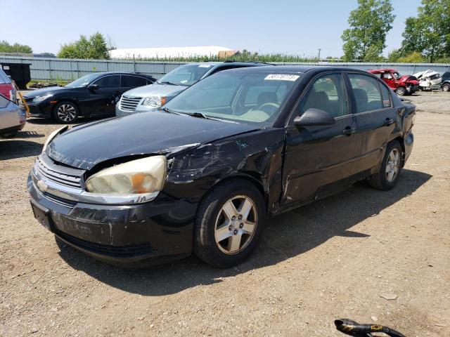 CHEVROLET MALIBU LS 2004 with VIN 1G1ZT54894F175936 - Photo from auction