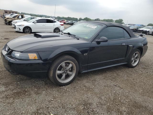 Photo 1 from auction – 2002 FORD MUSTANG GT with VIN 1FAFP45X72F192607