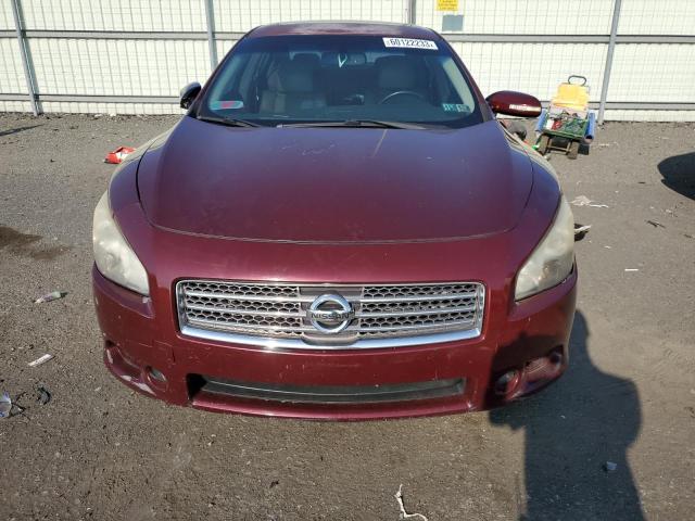 Photo 5 from auction – 2009 NISSAN MAXIMA S with VIN 1N4AA51E79C818531