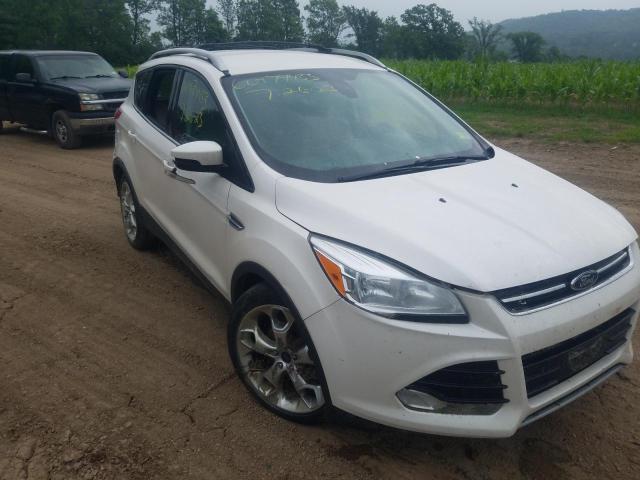 Photo 4 from auction – 2014 FORD ESCAPE TIT with VIN 1FMCU9JX6EUB74913