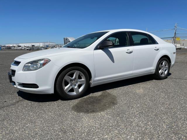 CHEVROLET MALIBU LS 2011 with VIN 1G1ZA5E12BF164037 - Photo from auction