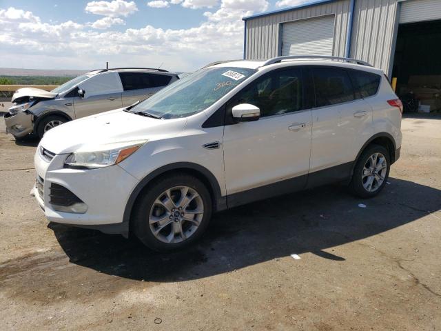 FORD ESCAPE TIT 2014 with VIN 1FMCU0JX3EUB29259 - Photo from auction