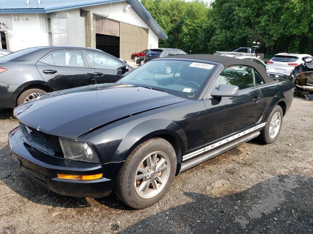 Photo 1 from auction – 2005 FORD MUSTANG with VIN 1ZVHT84N455254073