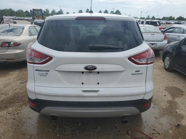 Photo 6 from auction – 2014 FORD ESCAPE SE with VIN 1FMCU0GX7EUC91600